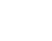CG2D Logotype